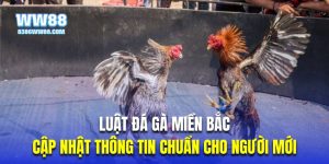 Thumb luật đá gà miền Bắc WW88
