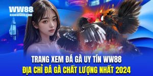 Thumb trang xem đá gà uy tin WW88
